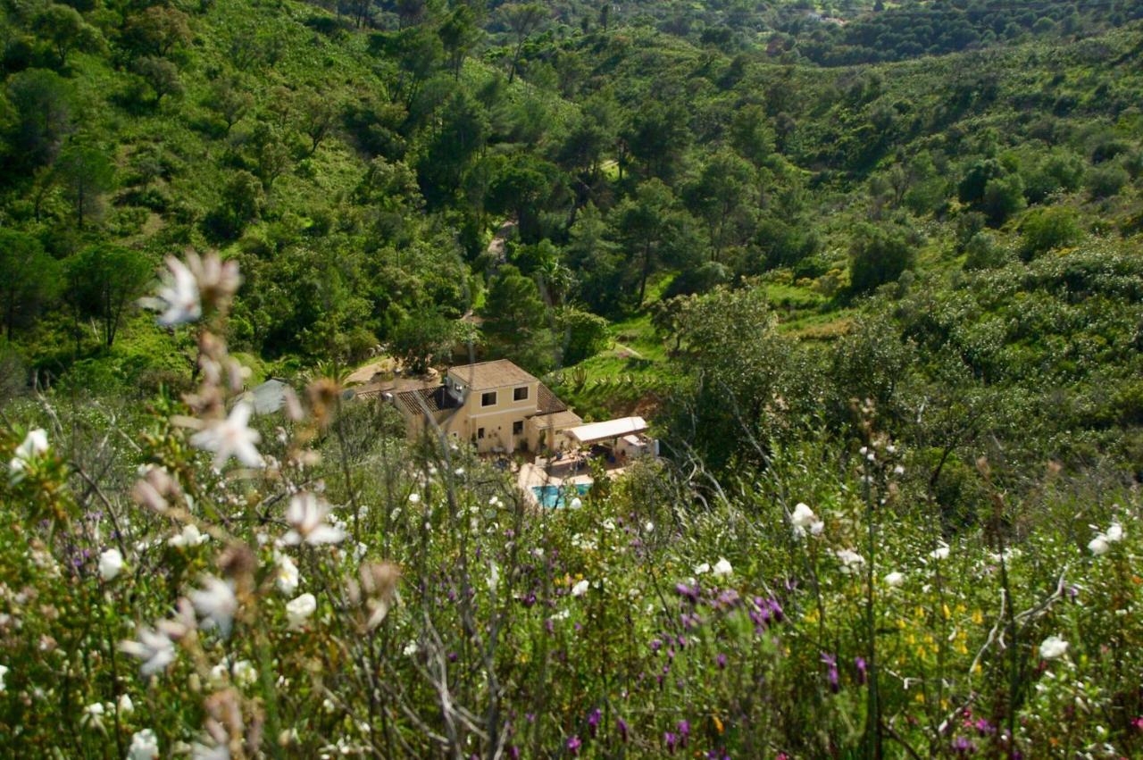 Terra Delicias Holiday home