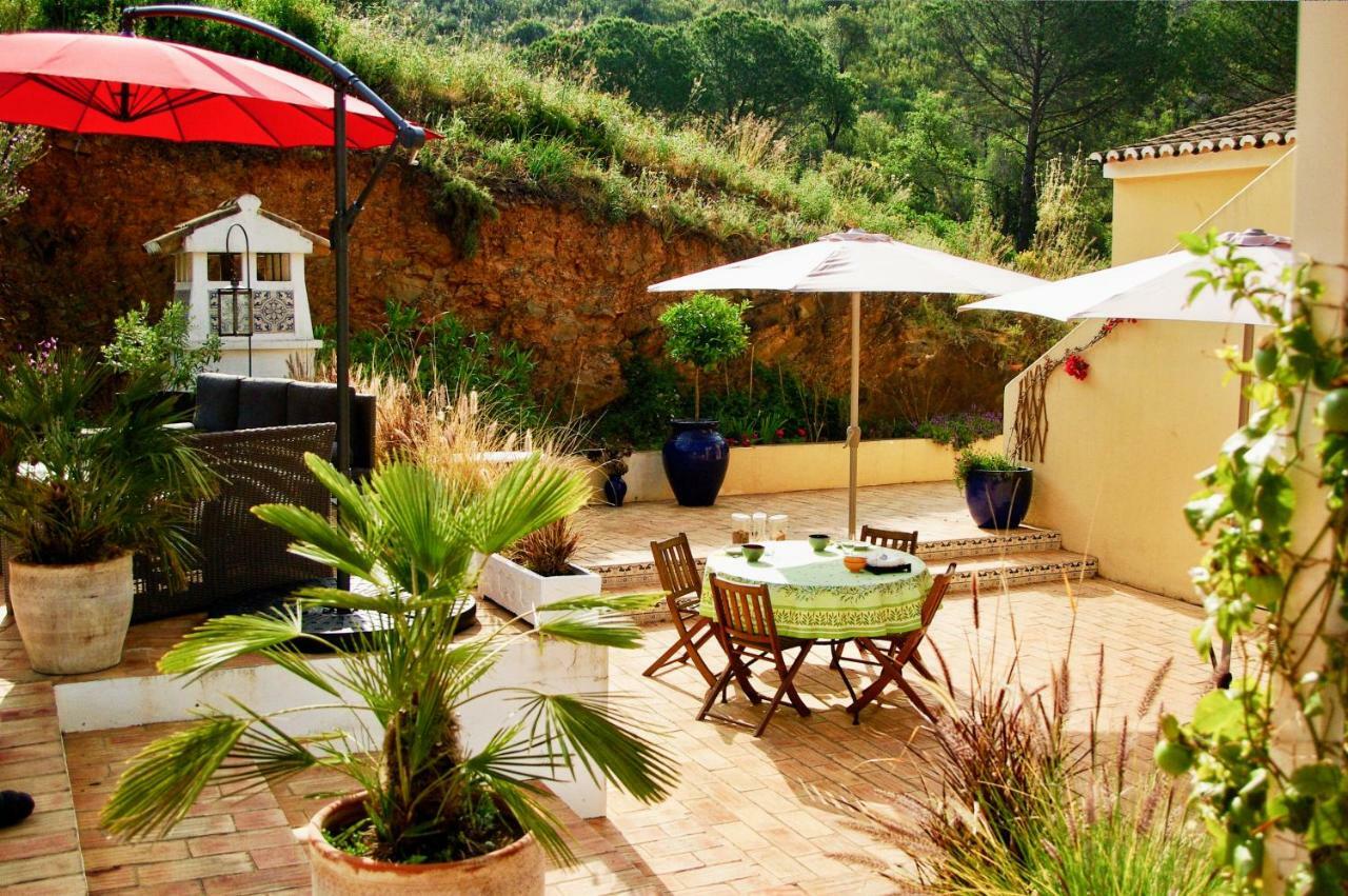 Terra Delicias Morenos
